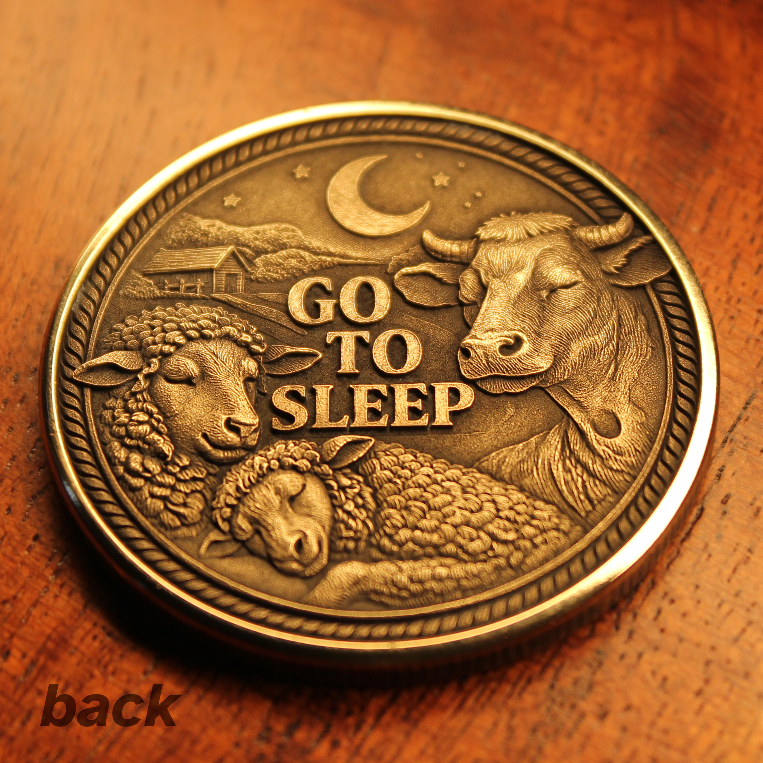 “One More Please / Go To Sleep” Decision Flip Coin